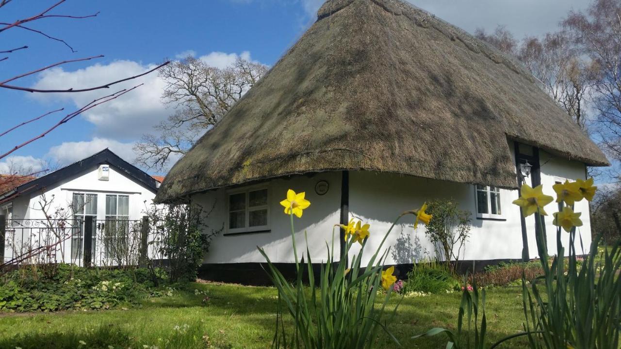 Frogs Hall B&B Eye (Suffolk) Exterior foto